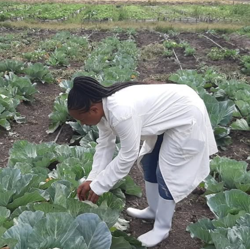 image_2025-11-29_144214949